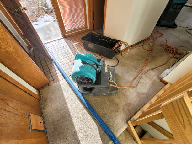Best Residential water damage restoration  in Highlands, TX