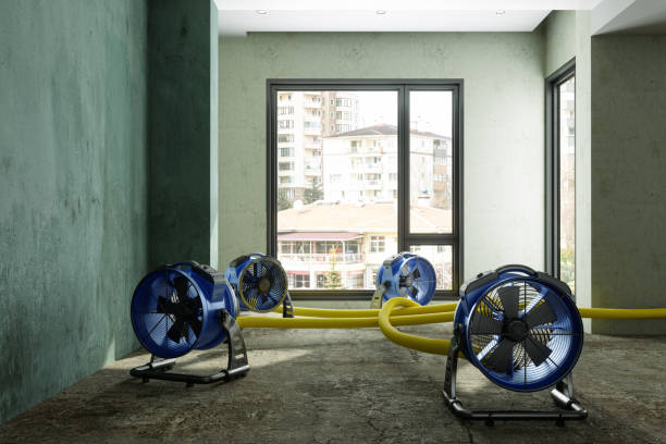Best 24-hour water damage restoration  in Highlands, TX