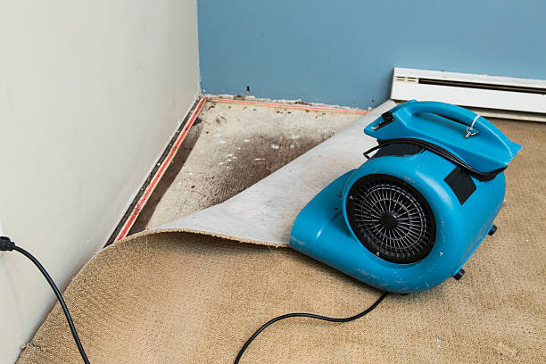 Best Carpet water damage restoration  in Highlands, TX